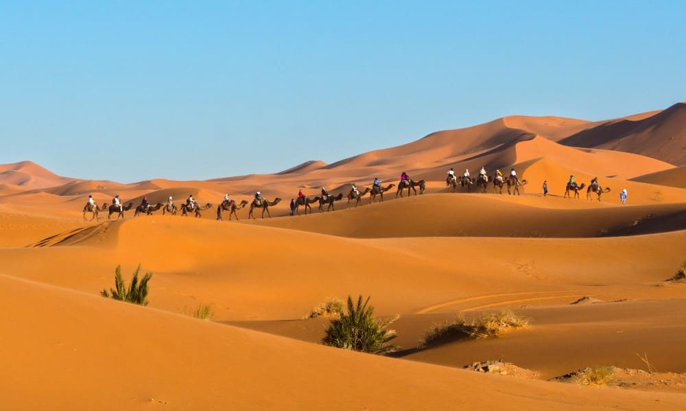 5 Days Desert Tour from Marrakech & Camel ride