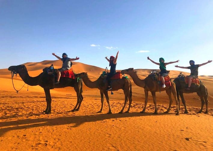 Camel trekking in Merzouga Sahara desert