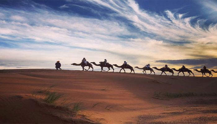 Camel ride in Sahara