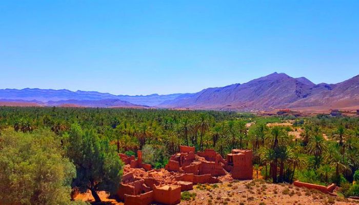 Draa Valley