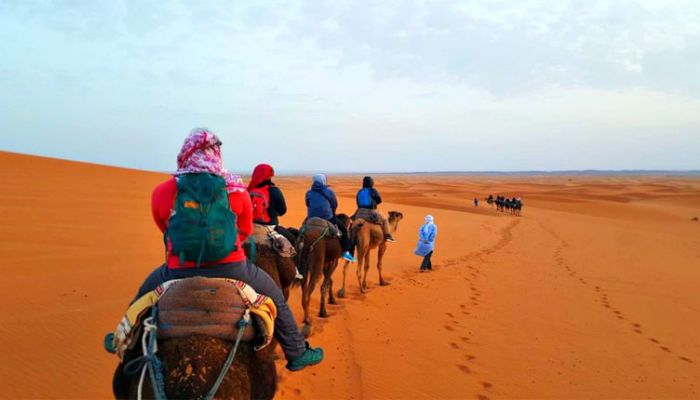 Merzouga Camel ride