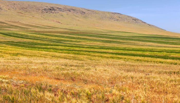 Morocco Scenic Drive