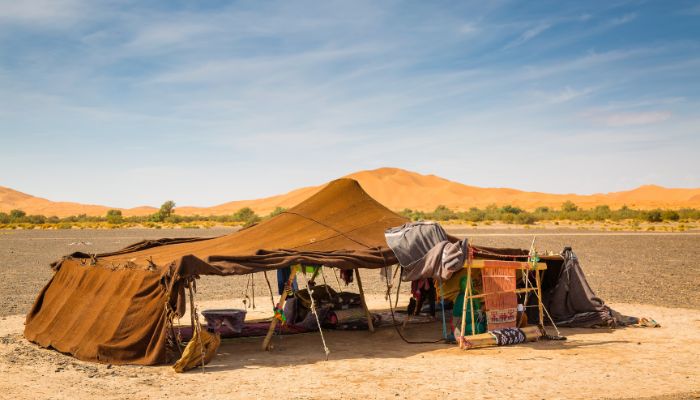 Tea with a nomad family