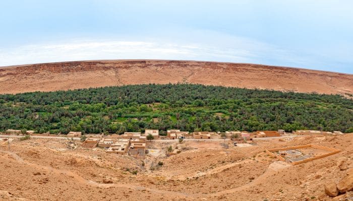 Ziz Valley with palm trees and mountains