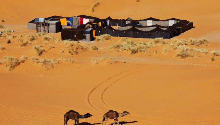 Merzouga Desert Camp