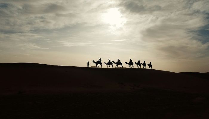 Sahara Camel Treck