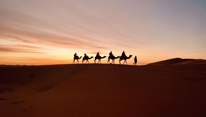 4 Days Tour from Fes